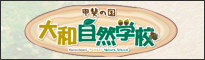 自然体験型宿泊施設 甲斐の国 大和自然学校